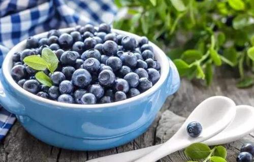 怀孕可以吃蓝莓吗（怀孕期间可以食用蓝莓吗）